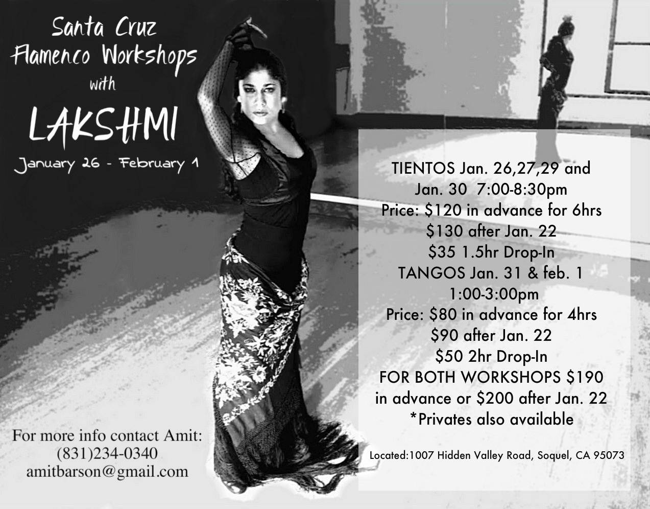 20140430 Flamenco Workshop with Lakshmi