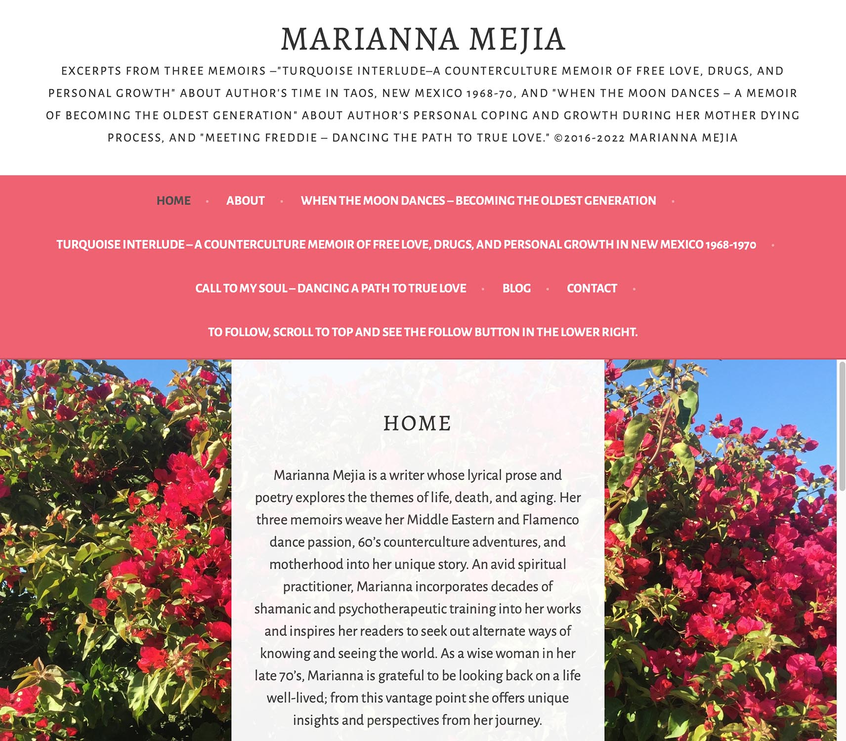 MariannaMejia.com