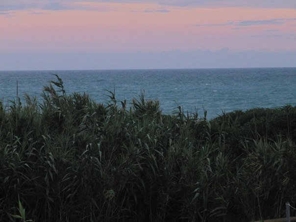 20100615 View of ocean from Lazotea (rooftop).